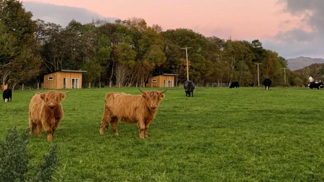 Cruachan Cabin オーバン エクステリア 写真